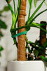 Open image in slideshow, Coco Coir Poles