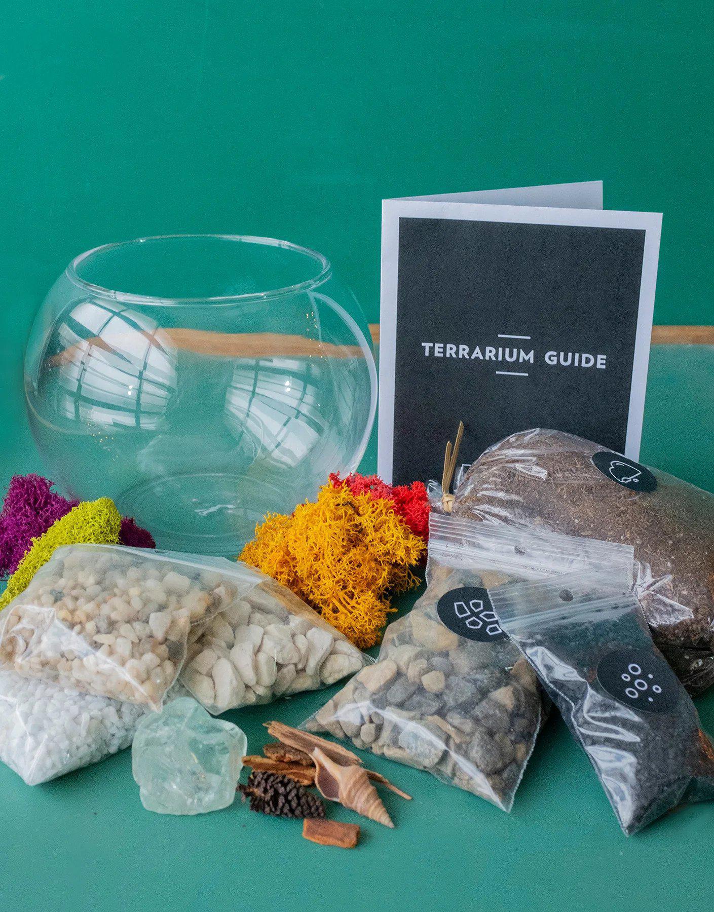 Terrarium Kit : Globe