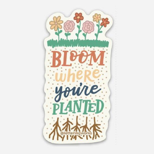 Bloom Where You’re Planted Sticker